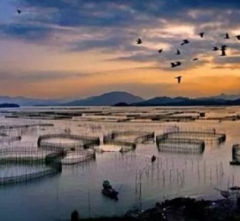 资阳伴游中国网景点丰富(旅游网介绍)