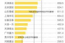 资阳关于伴游小丽中国足球的信息