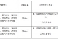 资阳重庆有雇用伴游外围吗(高端外围伴游雇用一单一结)
