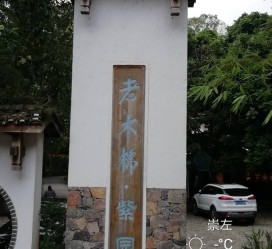 资阳关于伴游中国伴游你们伴得是什么游的信息