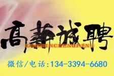资阳上海哪里雇用男伴游(哪里有雇用男士伴游的)