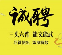 资阳私人伴游招聘 一线二线城市招聘大圈中圈小圈女孩商务模特佳丽女模名媛招聘高薪一单一结