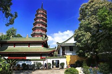 资阳广州自由行(广州 自由行)