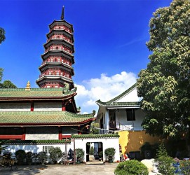 资阳广州自由行(广州 自由行)
