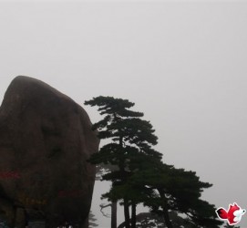 资阳上海伴游私家陪游雇用女模(上海伴游私家陪游雇用女模特)