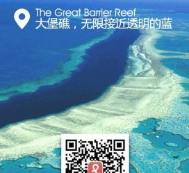 资阳中国250家旅行社结伴游新西兰(新西兰当地旅行社)