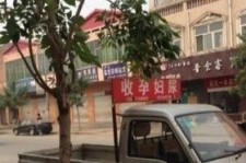 资阳上海伴游 用伴游造句大全(5