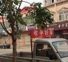 资阳上海伴游 用伴游造句大全(5
