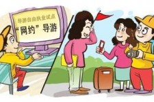 资阳伴游是什么