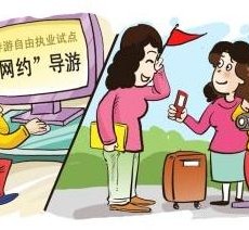 资阳伴游是什么