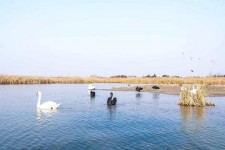 资阳南昌附近伴游小妹兼职(1534939978姐的微信德惠市)