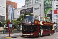 资阳上海私人伴游 上海过年怎么玩？这些“微游”线路了解下→