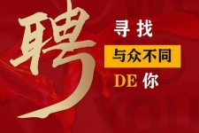 资阳商务伴游招聘 重庆星级酒店诚招司机服务员夜场保安