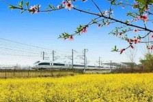 资阳高铁游(高铁游戏下载手机版)