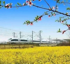 资阳高铁游(高铁游戏下载手机版)