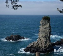 资阳旅游全攻略(上海旅游全攻略)