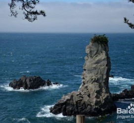 资阳旅游全攻略(上海旅游全攻略)