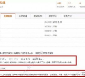 资阳游艇伴游雇用(游艇办事员雇用)