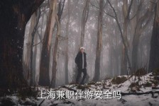 资阳上海私人伴游 上海伴游，上海兼职伴游安全吗