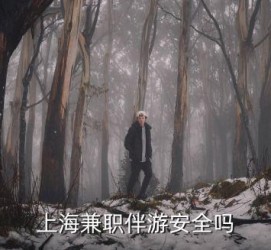 资阳上海私人伴游 上海伴游，上海兼职伴游安全吗