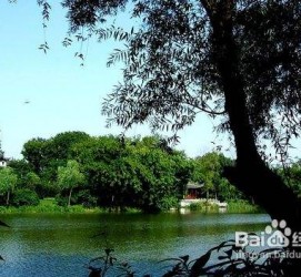 资阳西湖旅游攻略(上海到杭州西湖旅游攻略)