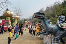 资阳中国伴游带你打卡网红南山竹海(南山竹海网上预约)
