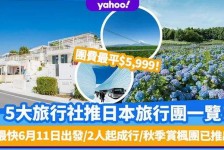 资阳旅游价格(旅游价格机制)