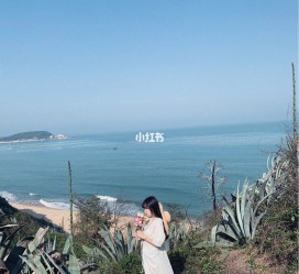 资阳厦门周边游(厦门及周边旅游攻略)