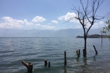 资阳洱海旅游攻略(洱海旅游攻略自由行)