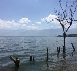 资阳洱海旅游攻略(洱海旅游攻略自由行)