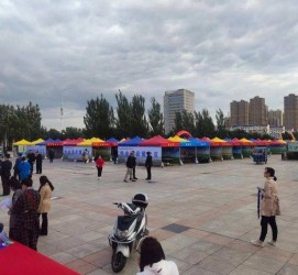 资阳通辽伴游雇用(哈尔滨伴游雇用)