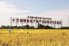 资阳关于成都商务伴游外围雇用的信息