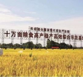 资阳关于成都商务伴游外围雇用的信息