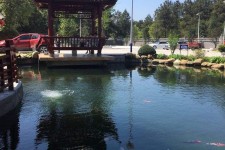 资阳久久伴游**(久久游代理)