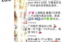 资阳外围伴游雇用圈套(雇用伴游什么样子的是实的)