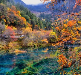 资阳四川旅游攻略(四川旅游攻略十五日游)