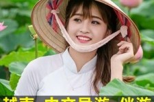 资阳日本关东伴游中国(日本关西旅行)