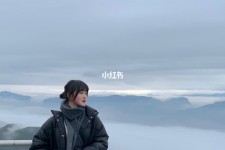 资阳四日游(朝鲜四日游)