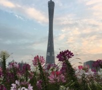 资阳广州旅游攻略(杭州到广州旅游攻略)