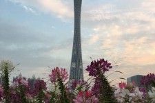 资阳广州旅游攻略(杭州到广州旅游攻略)