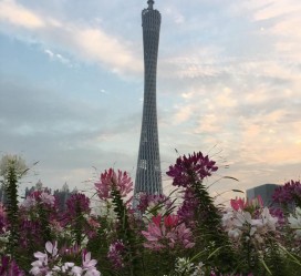 资阳广州旅游攻略(杭州到广州旅游攻略)