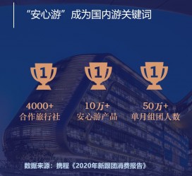 资阳上海私人伴游 ​ “小而美”的新时代：2020年国内新跟团消费报告