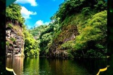 资阳旅游报价(旅行团旅游报价)
