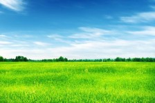 资阳上海伴游 上海模特伴游微信号的交友宣言