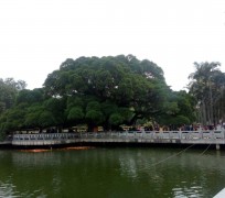 资阳福州旅游攻略(福州旅游攻略二日游)