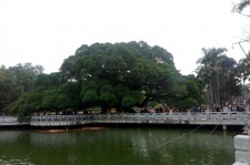资阳福州旅游攻略(福州旅游攻略二日游)