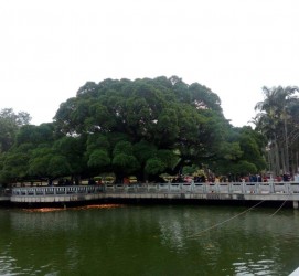 资阳福州旅游攻略(福州旅游攻略二日游)