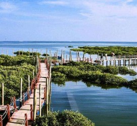 资阳旅游哪里好玩(云南旅游哪里好玩)