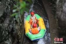 资阳伴游中国三亚(三亚结伴旅游网)