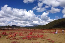 资阳旅游去处(暑期最好的旅游去处)